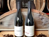 🍇 Comment créer son propre vin et les impacts de la vinification dans le verre