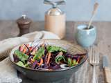 Salade de chou rouge, carottes et noisettes