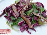 L'idée du dimanche soir : salade de chou rouge, mâche et porc séché (lomo)