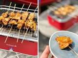 Satay de poulet au barbecue Carlos | Brochette de poulet sauce cacahouète