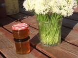 Gelée de fleurs de pissenlits (Cramaillotte ou Miel de Pissenlits)