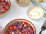 Salade de chou rouge aux légumes de l'été