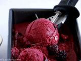 Yaourt glacé aux fruits rouges (frozen yogurt)