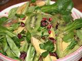 Salade vitaminee aux kiwis, avocats et mache, garniture de graines de grenade et de cranberries