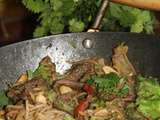 Wok de nouilles chinoises sautees et leurs petits legumes au boeuf
