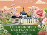 Journées des Plantes de Chantilly : Parfums au Jardin les 17, 18 et 19 mai prochains