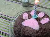 Gâteau d’Anniversaire Pour Chat / Birthday Cake For Your Cat