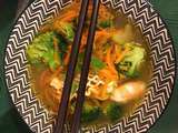 Bouillon thaï léger léger... de crevettes, carottes et brocolis