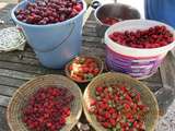 Confitures de cerises, fraises et framboises
