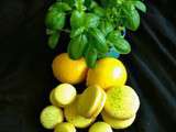 Macarons citron basilic - Lesgourmandisesdechoucha