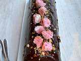 Bûche de Noël au chocolat noir et biscuits roses de Reims
