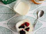 « Panna cotta » légère au yaourt et aux fruits rouges