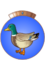 Chevalière du Canard