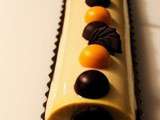 Bûche Bavaroise Abricot-Mangue-chocolat
