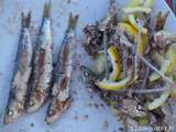 Sardines marinées grillées à la plancha, facile, rapide et légères
