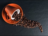 Quelles sont les différentes dosettes de café