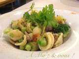 Orecchiette aux brocolis et saucisse fenouil