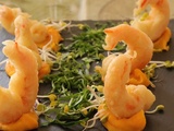 Crevettes en tempura