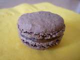 Macarons pomme chocolat cannelle