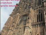 Pique-nique des blogueurs(euses) d'Alsace et environs le 16 septembre
