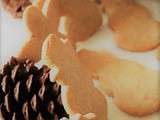 Petits Biscuits au Sucre Bio, aux épices de Noël, sans oeufs, gluten