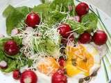 Salade radis câpres et oeufs pochés sur laitue