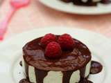 Cheesecake à la vanille et chocolat sans cuisson (allégé)