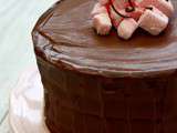 Gâteau de fête au chocolat et guimauve à la fraise