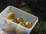 Mousse au thon dans le citron