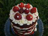 Chocolate Cherry and Strawberry Layer Cake