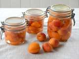 Conserve d’abricots au sirop (fait maison)