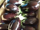 Aubergines