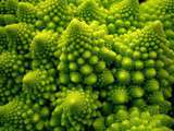 Chou romanesco c’est de l’art fractal, c’est d’une perfection absolue