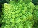 Chou romanesco