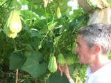 On cuisine exotique avec la christophine