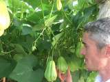 On cuisine exotique avec la christophine