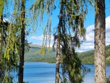 Ecosse : Stirling, Callander et le Parc National des Trossachs