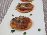 Petites pizza tomates, thon au basilic & mozzarella