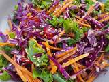 Salade de kale, chou rouge & carottes