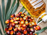 Conseils pour limiter votre consommation d’huile de palme