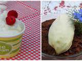 Sorbet Citron & glace vanille de Claire Heitzer