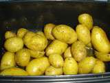 Pommes de terre nouvelles de noirmoutier