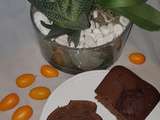 Cake Chocolat/Kumquats