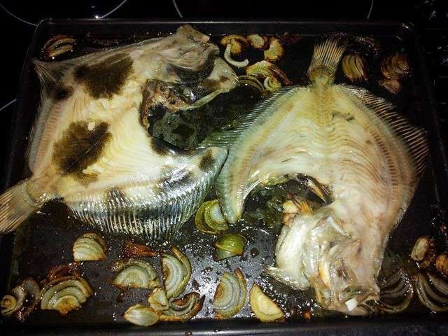Recettes de Turbot et Cuisine au Four