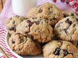 Cookies au chocolat noir, cranberries et cannelle { Noël }