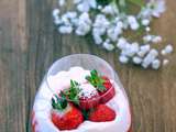 Panna cotta vanille, chantilly et coulis de fraises
