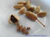 Petits Choux Chocolat Cardamome