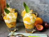 Verrines Orange-Passion-Basilic et Mousse Gourmande