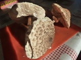 Coulemelles des champignons facile à reconnaitre