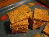 Petits toastes crackers (cure cétogène ) pgrl